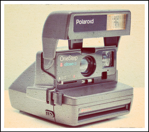 polaroid 636